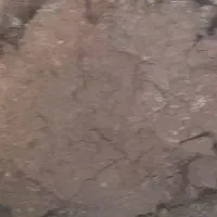 کود مرغی