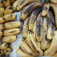 موز هندی رسیده وشیرین