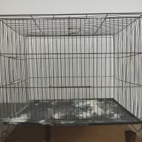 قفس مناسب برای مرغ عشق و...