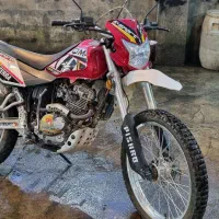 فروش پیشرو گلد ۲۰۰ در حد صفر|موتورسیکلت|رشت, کاکتوس|دیوار