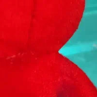 استخدام و کاریابی ـ کار درمنزل