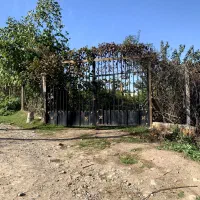 فروش باغ آماده در شموشک علیا