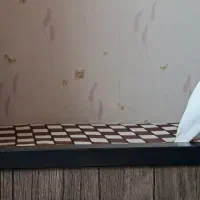 عروس هلندی آلبینو