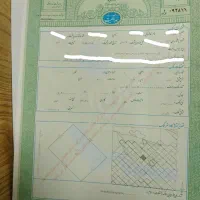 2500متر-زمین-تاکستان