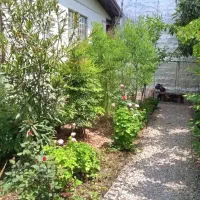 ویلایی ۲۱۸ متری  سند دار  / ابتدا جاده بابل