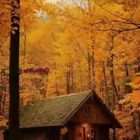 63-متری-مناسب-سالن-و-دفتر-کار