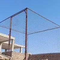 توری مرغی و پرنده
