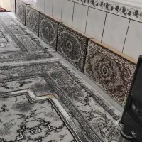 روفرشی درحد نو|روفرشی|کبودرآهنگ, |دیوار