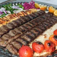 شاطر حرفهای