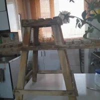 قفس عروس هلندی