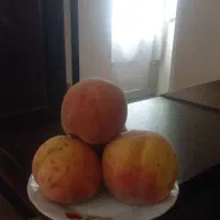 خوردنی و آشامیدنی
