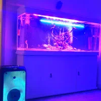 اکواریوم شرکتی ۱۵۰ طول ۴۰ عرض ۶۰ ارتفاع