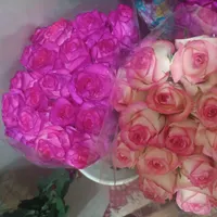 رز هلندی|گل مصنوعی|برازجان, |دیوار