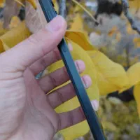 note 12pro 5G|موبایل|بانه, |دیوار