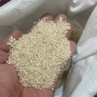 نیمدانه فجر