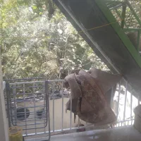 خانه اجاره ای