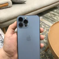 iPhone 13 Pro Max 256G