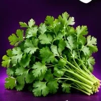 نیرو برای سبزی خوردکنی
