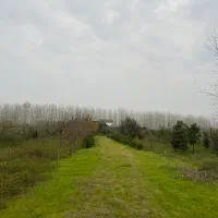 زمین-عام-پسند