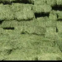 یونجه پرس چین سه درجه یک