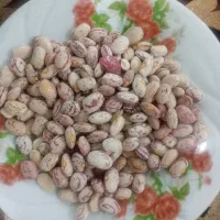 لوبیا چیتی درجه یک