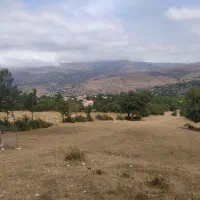 زمین مسکونی