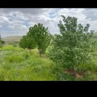 فروش ، مشارکت، اجاره ، دامداری مجهز و دارای وام