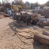 خریدار چوب هیزمی وصنعتی|خدمات باغبانی و درختکاری|احمدآبادمستوفی, |دیوار