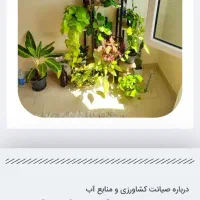 آبخوان سرامیکی (آبیاری هوشمند)|گل و گیاه طبیعی|بیرجند, |دیوار