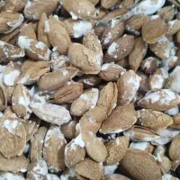 استخدام ویزیتور و بازاریاب در مرودشت|استخدام بازاریابی و فروش|مرودشت, ابوذر شمالی‎|دیوار