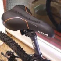 دوچرخه ویوا حرفه ای ۸دنده