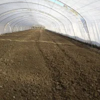 نیازمند کارگر گلخانه شبانه‌روزی