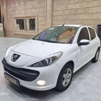 ۲۰۷ پانا ارتقا موتور جدید تحویل روز نقد و اقساط