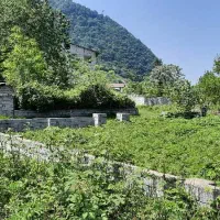 زمین-در-رمک-رامسر-2000-متر-قیمت-کاسبی