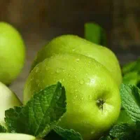 پیشفروش نهال سیب سبز|خدمات باغبانی و درختکاری|خرمدره, |دیوار