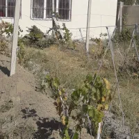 سیمان کاری ونرمه وتگری با بهترین کیفیت|خدمات پیشه و مهارت|ارومیه, |دیوار