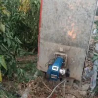 فروش گلخانه