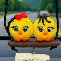 دوتا جوجه ی چشم رنگی