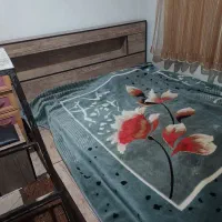 تخت دو نفره|تخت و سرویس خواب|فردیس, شهرک سپاه|دیوار