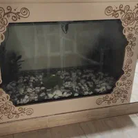 اکواریوم در حدنو