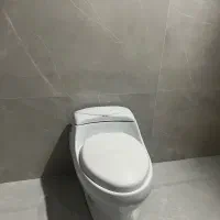 توالت فرنگی دست دو (چینی کرد)