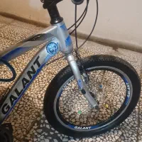 دوچرخه سایز ۲۰|دوچرخه، اسکیت، اسکوتر|بندر انزلی, زنبق|دیوار