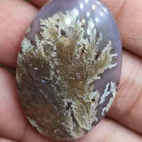 سنگ شجر|جواهرات|فردوس (خراسان), |دیوار