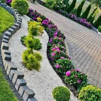 خدمات باغبانی در سراسر پردیس|خدمات باغبانی و درختکاری|پردیس, فاز ۲|دیوار