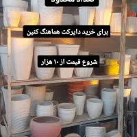 فروش گلدان زیر قیمت خرید