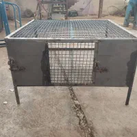 قفس مرغ