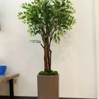 درختچه مصنوعی اقاقیا ، بامبو ، پولیشیاس درخت گل|گل مصنوعی|تهران, قصر فیروزه ۱|دیوار