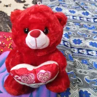 خرس ولنتاین|کلکسیون و سرگرمی|بکتاش, |دیوار