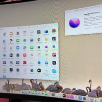 macbook 2016 (12-inch) 512/8 A1534|رایانه همراه|تهران, شیوا|دیوار