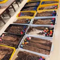 خریدار موی طبیعی|خدمات آرایشگری و زیبایی|دورود, |دیوار